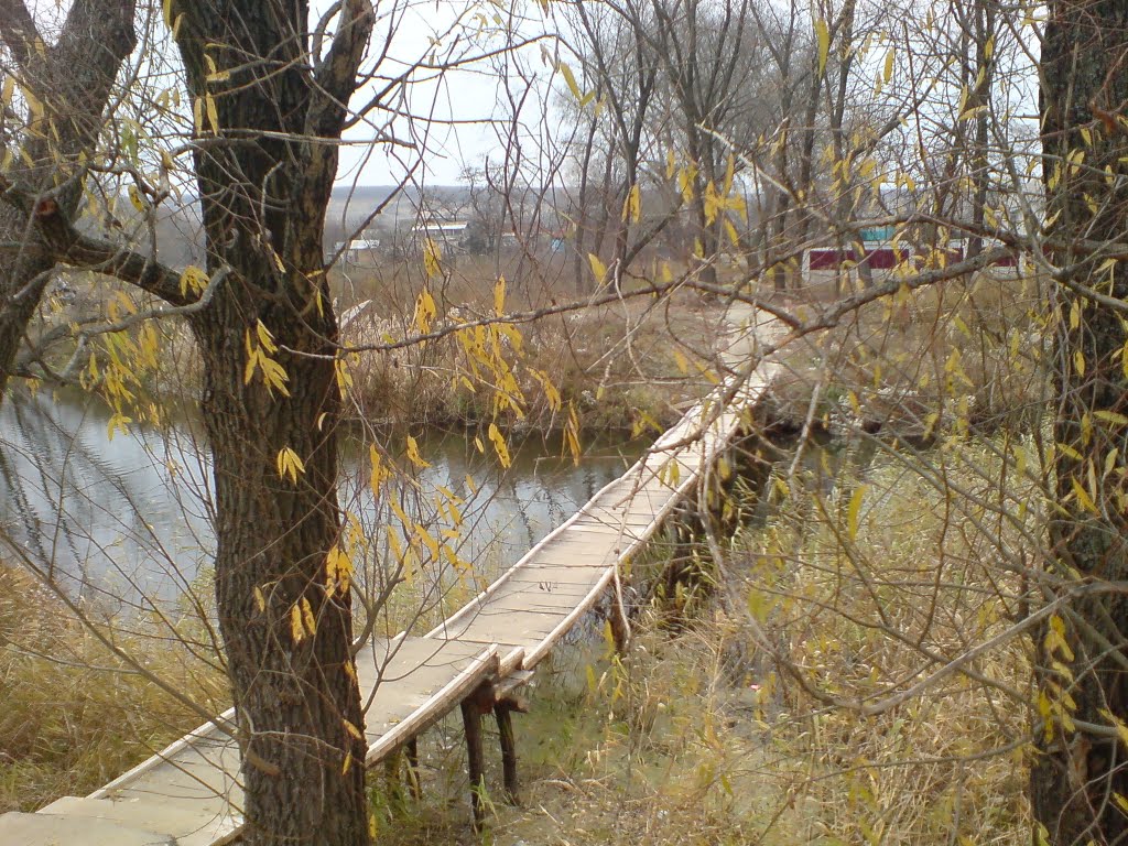 Нові агро.серв.кладки