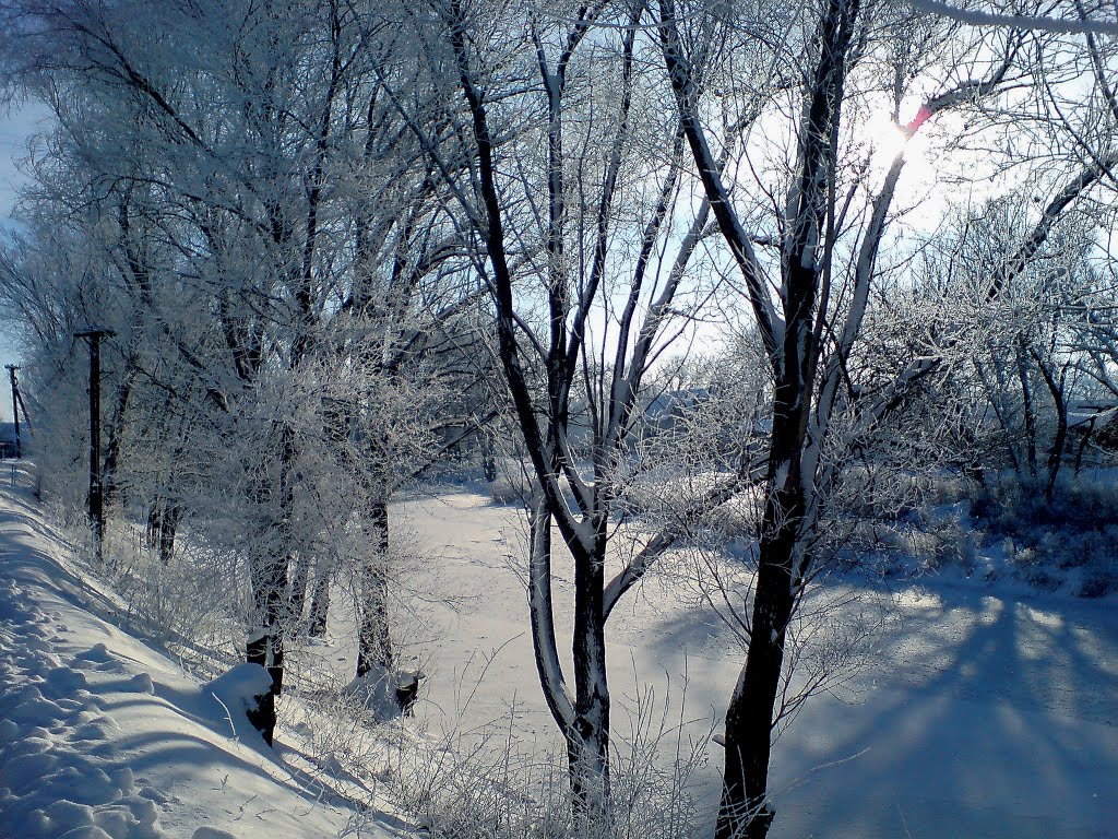 Перед різдвом 2011