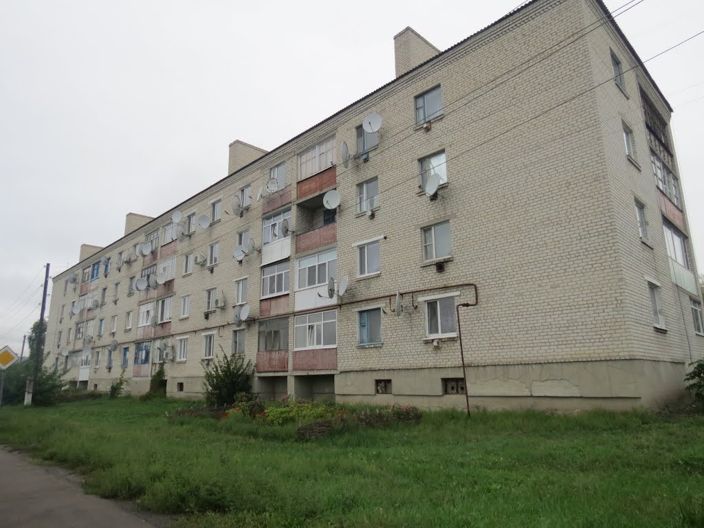 Дом спутниковых тарелок