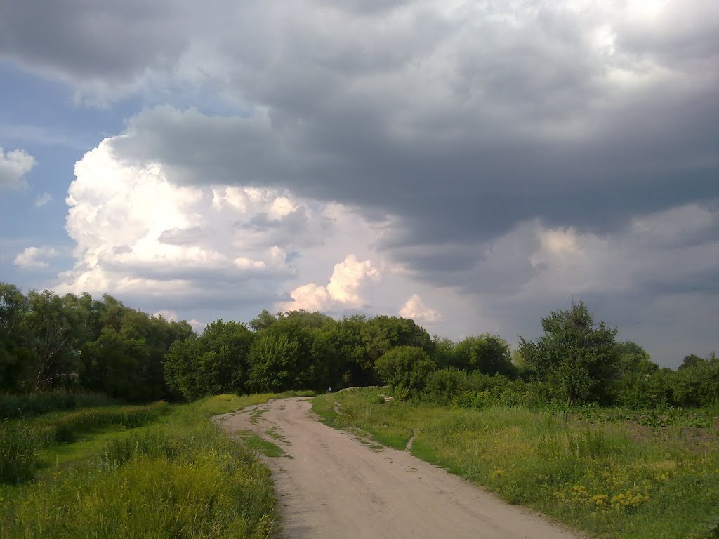 Will rain?