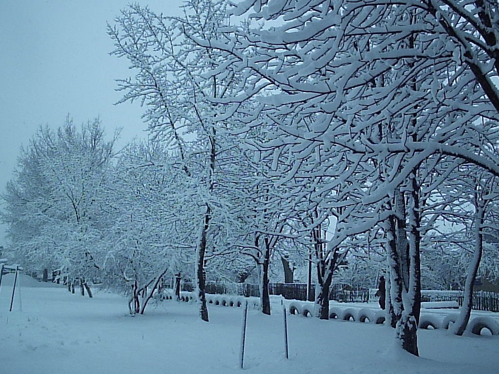 Снегопад