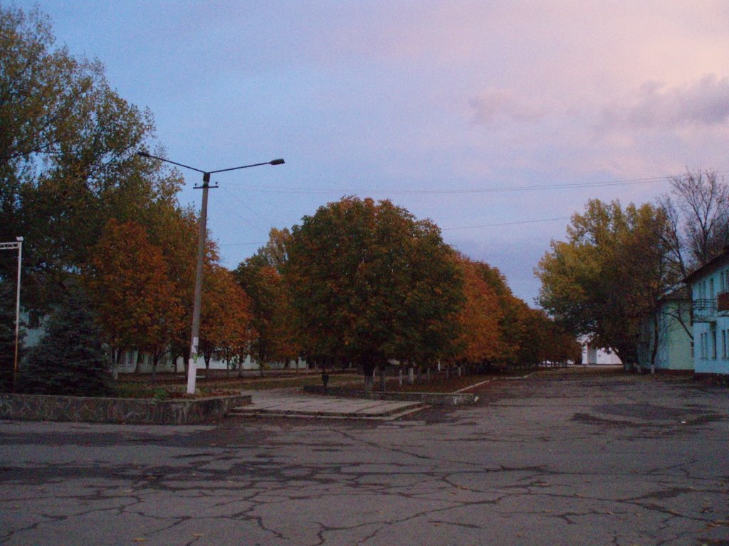 Аллея Славы