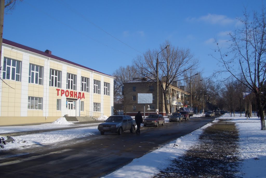троянда