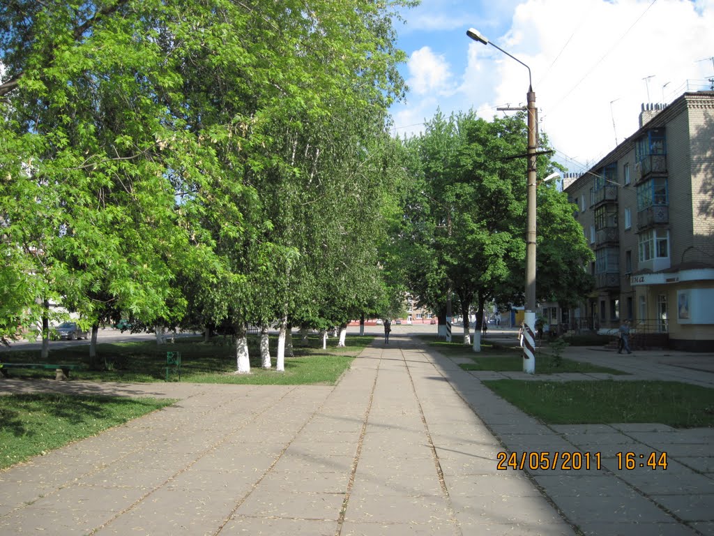 Центральная аллея