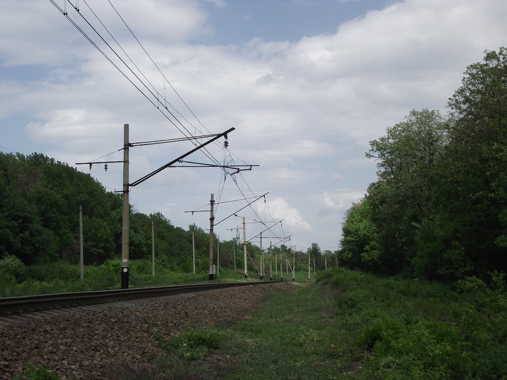 на Красную Могилу