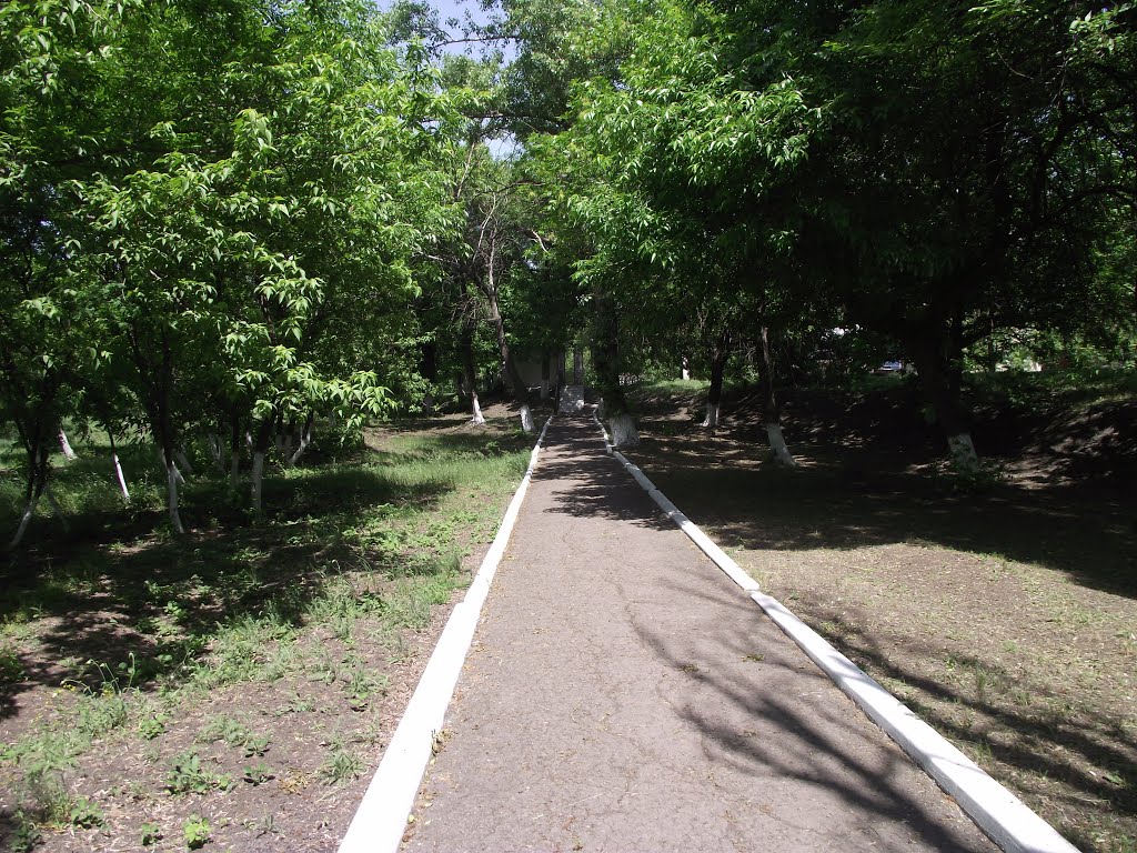 дорожка от ст.Центральный Парк к остановке