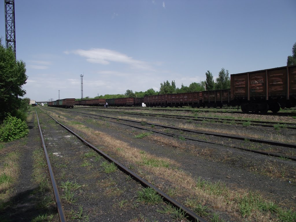 ст.Центральный Парк
