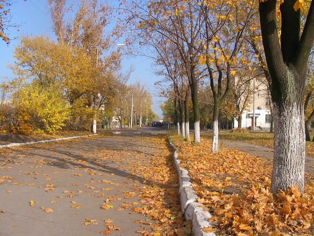 ул. Гоголя, опавшая листва