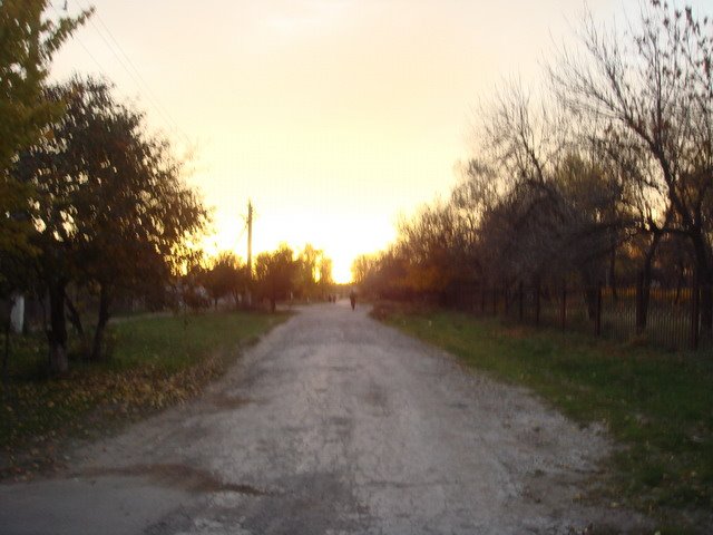 Дорога с озера