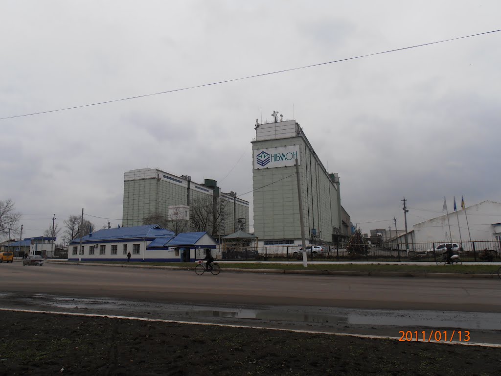 Старобільський елеватор