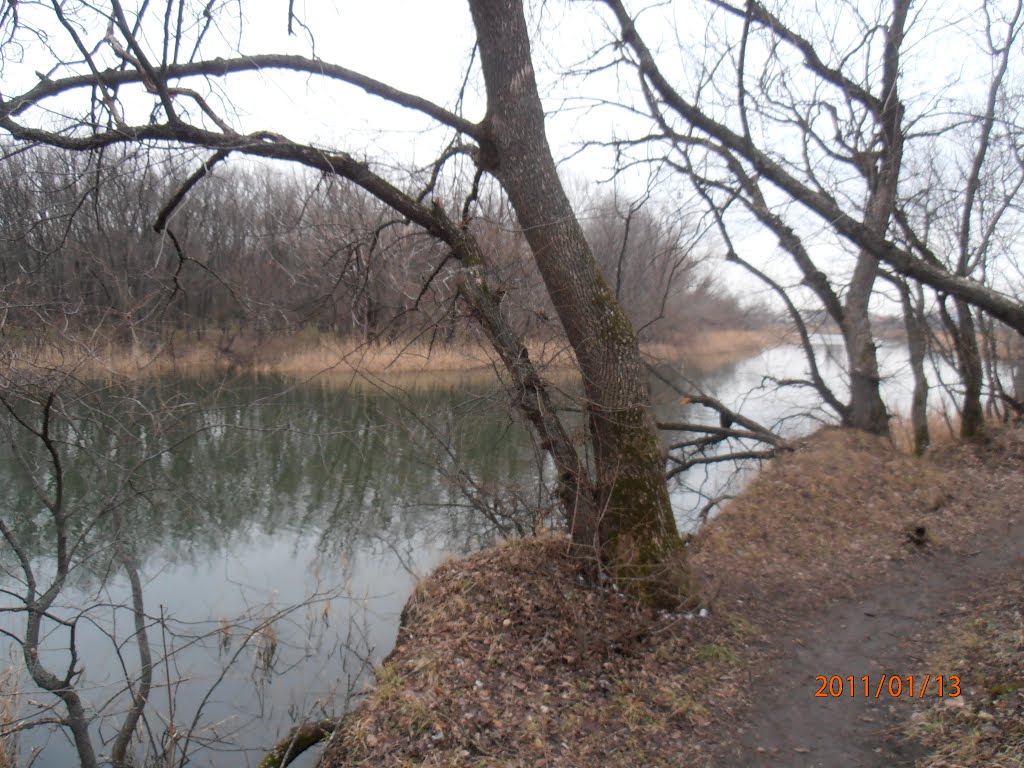 Річка Айдар