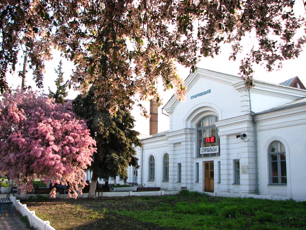 Railway Station in Starobilsk