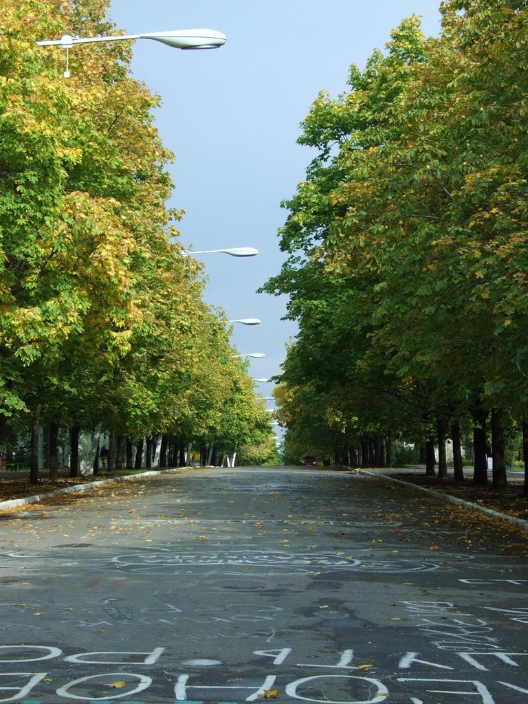 ул. Ленина, 2008