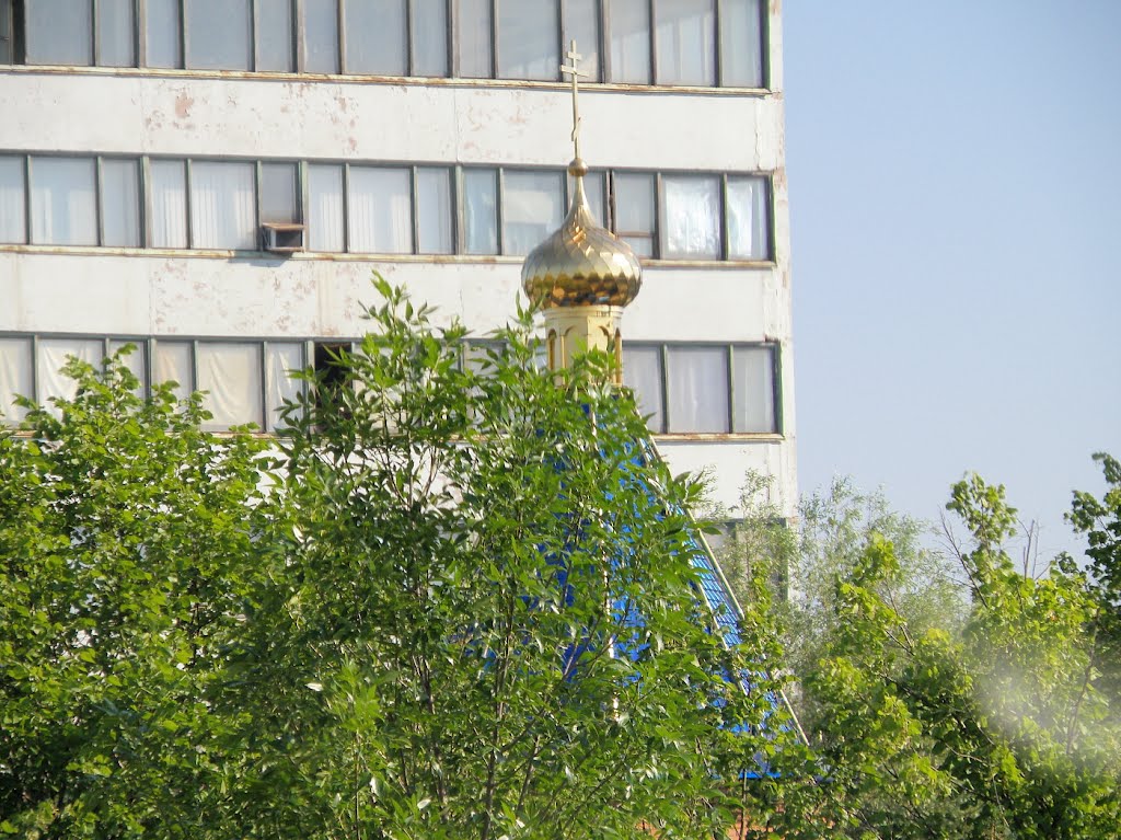 Купол за деревьями.