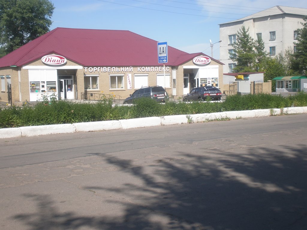 Торговый комплекс в п.г.т. Троицкое