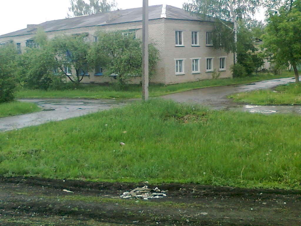 С окна общежития 40