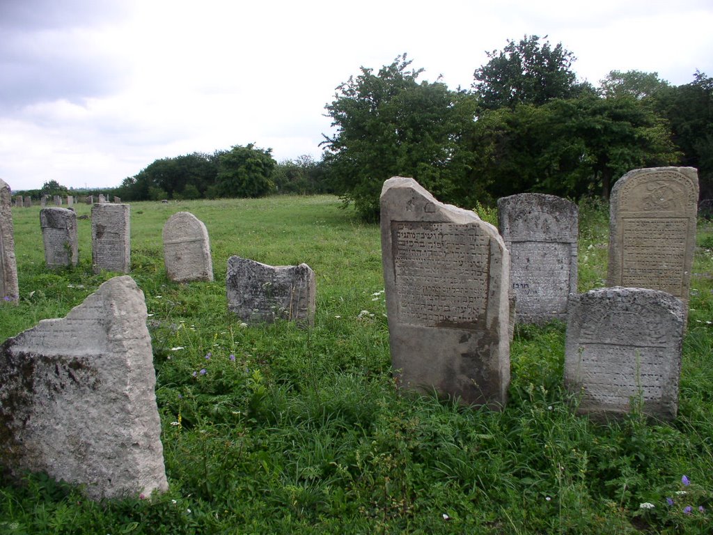 Belz_ old jewish cemetery