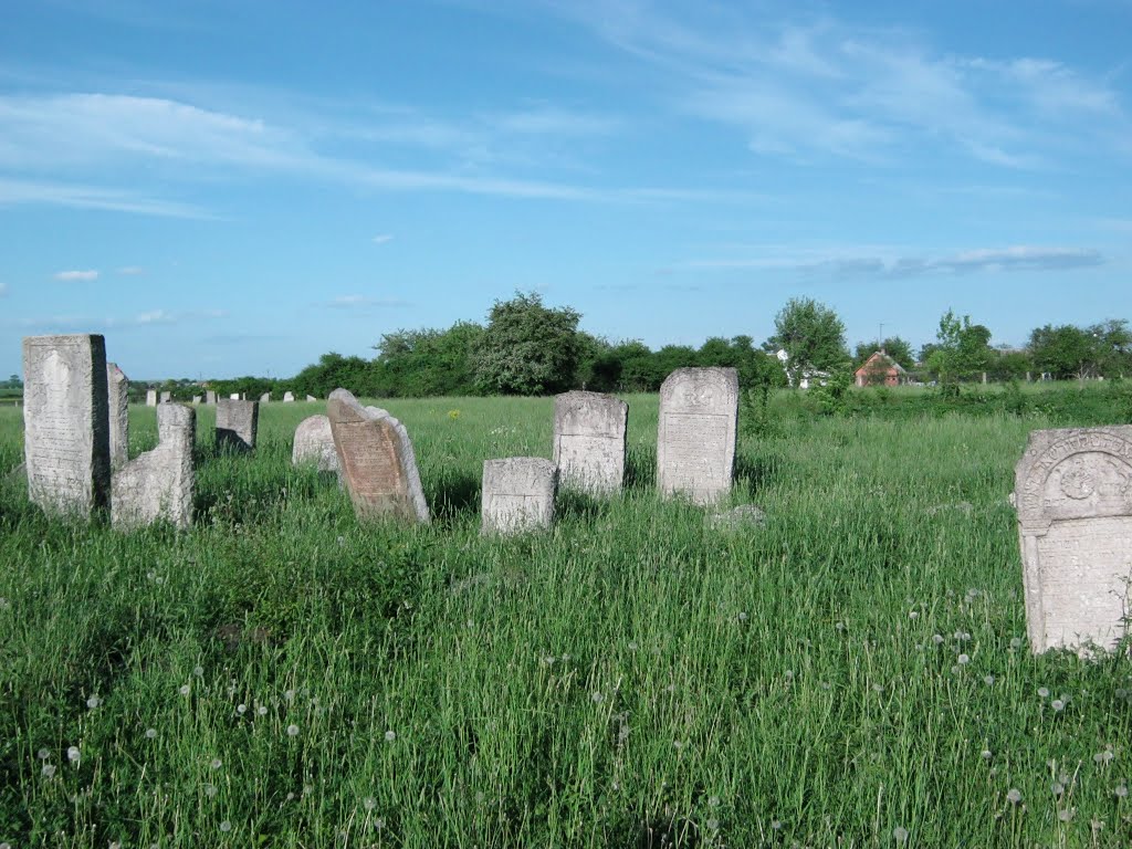 Кіркут в Белзі