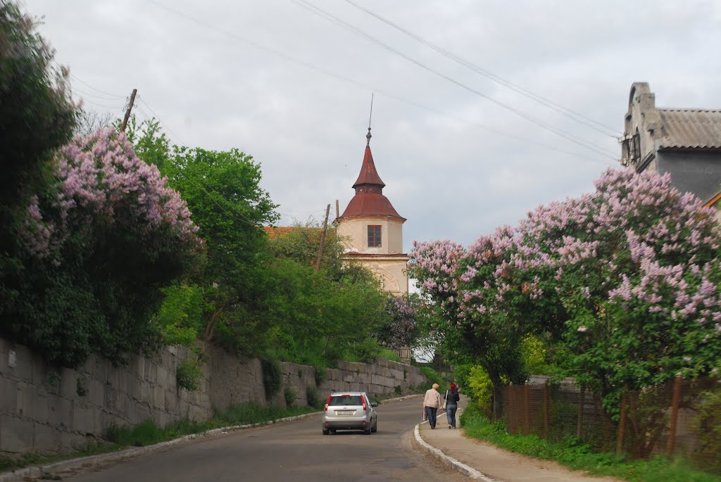 Bibrka