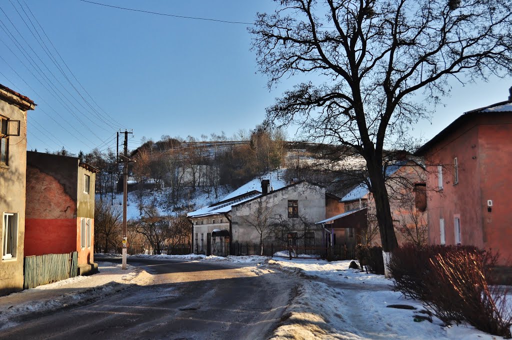 Bibrka