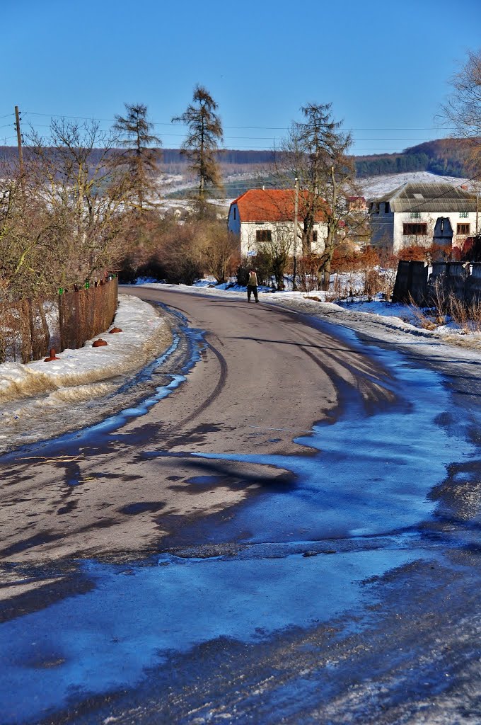 Road in Bibrka