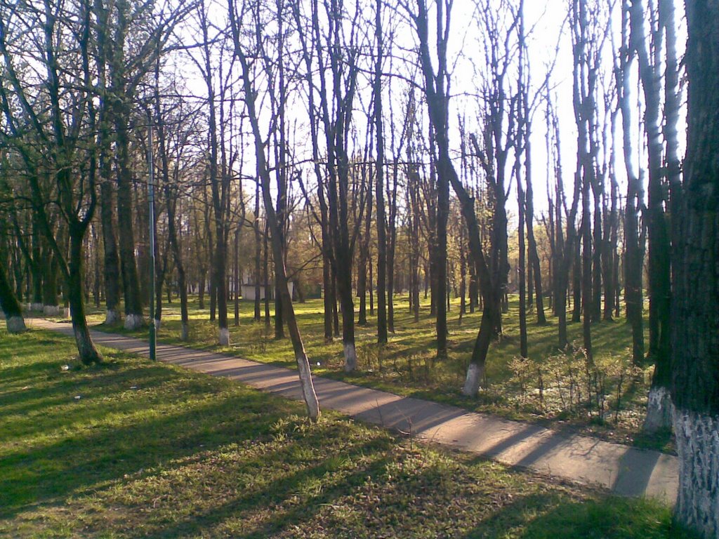 Борислав