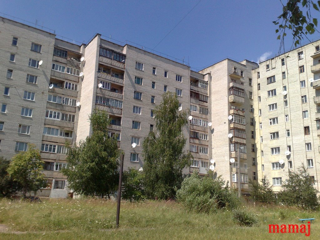 600 річча 12
