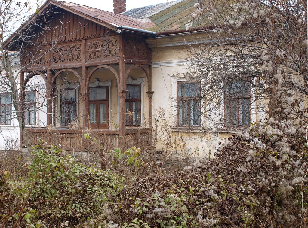 Дом / A house