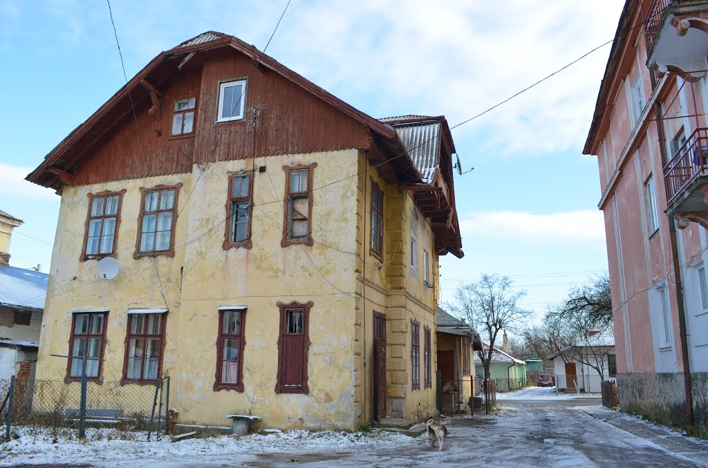 Старый дворик в Бориславе / Old Yard in Borislav
