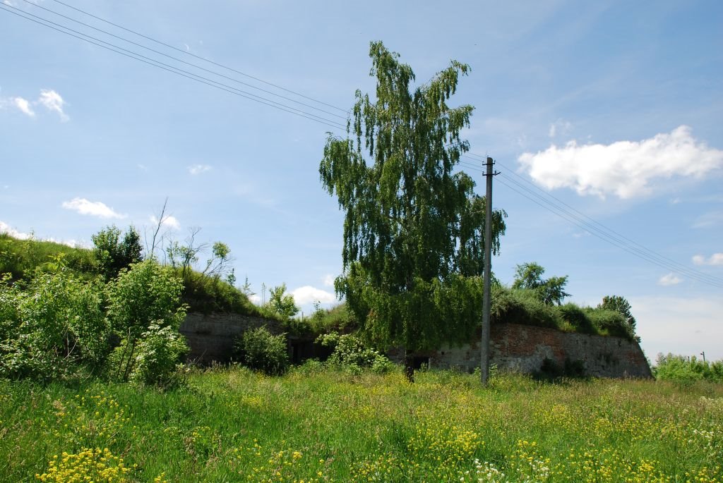 Броди