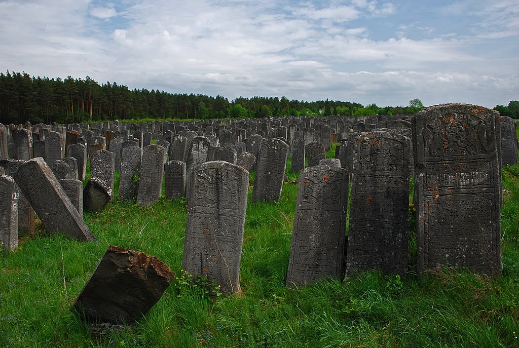 Cmentarz żydowski w Brodach