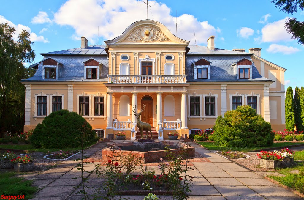 Дворец графини Тышкевич, 1909