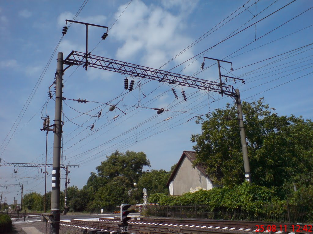 КОЛІЯ