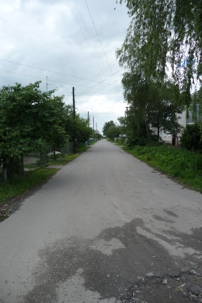 Бандери