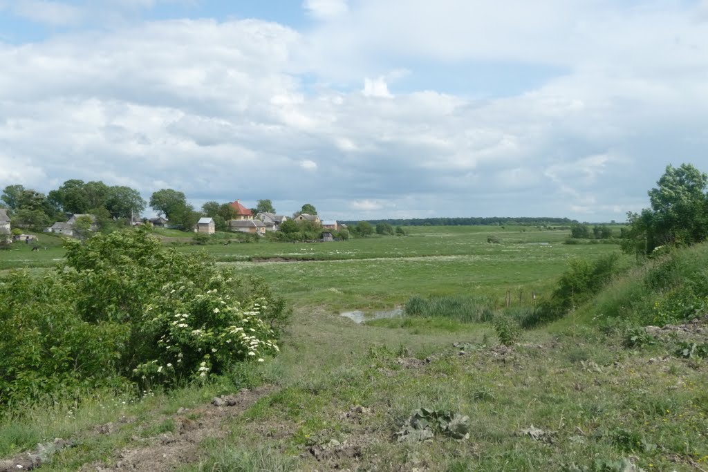 Степ