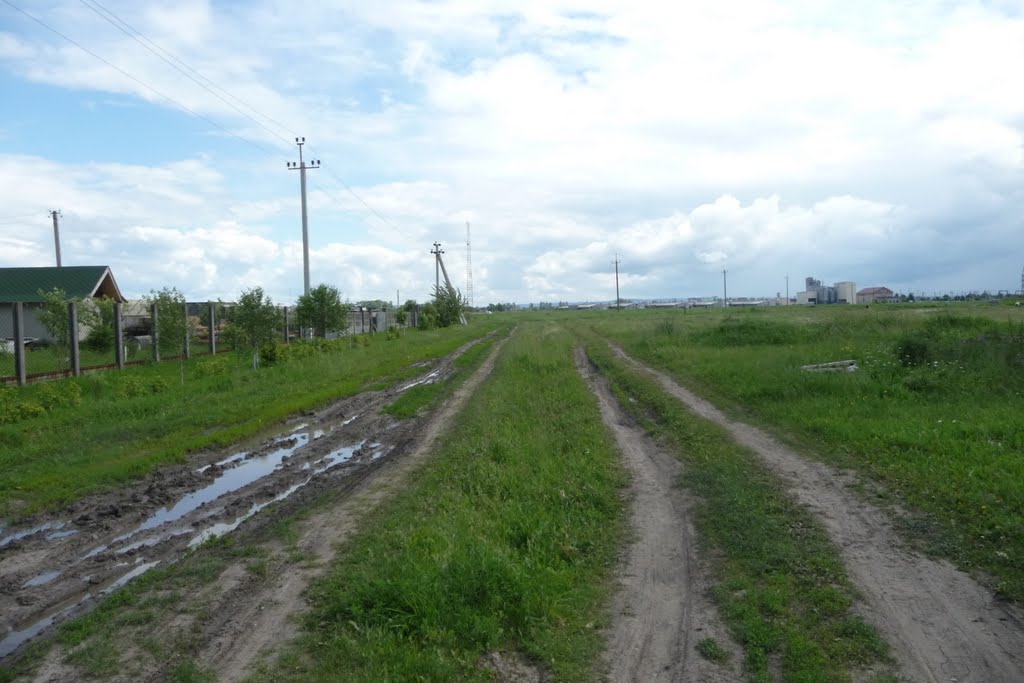 Степ