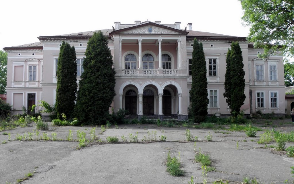 Палац графа Бадені, 19 ст.