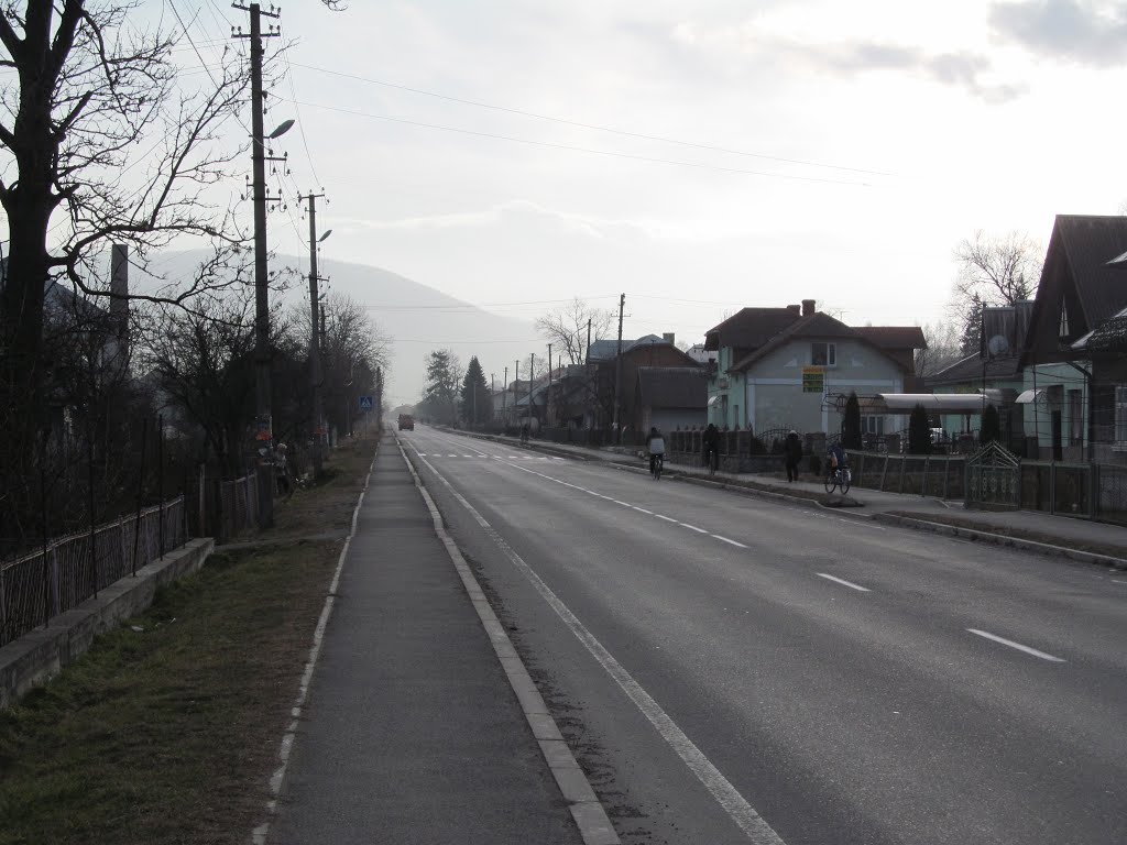Carpathian perspective