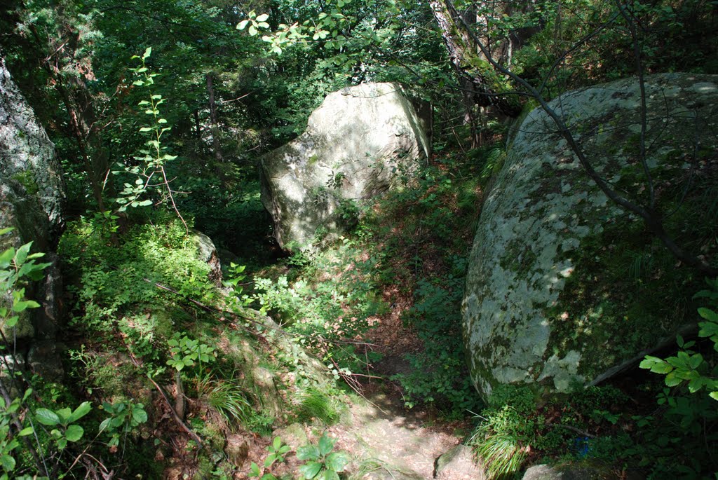 Україна. Тишівниця