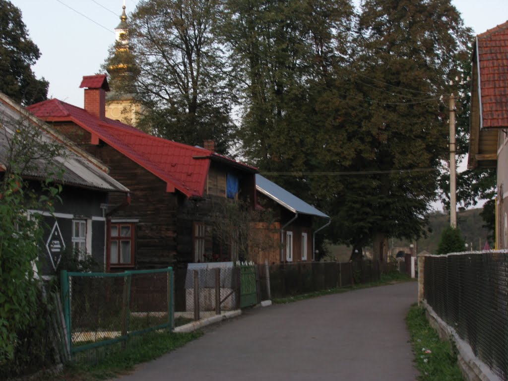 Вуличка у Верхньому Синевидному