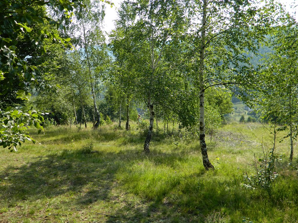 На горі біля Тишевниці