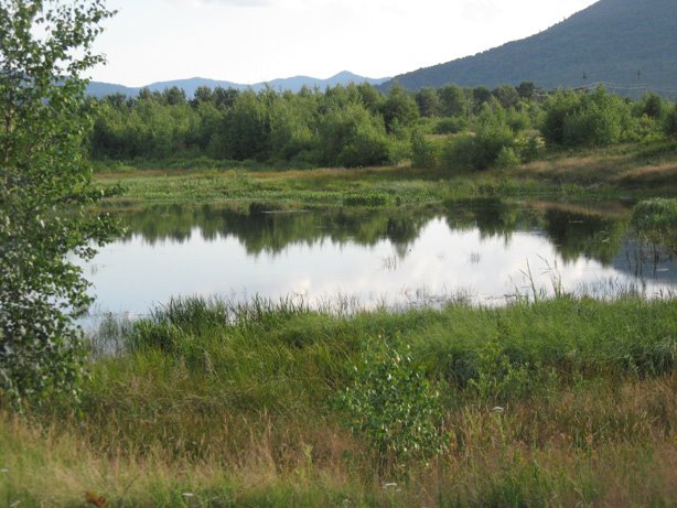 Lake on Dibrova