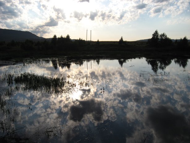 Lake On Dibrova