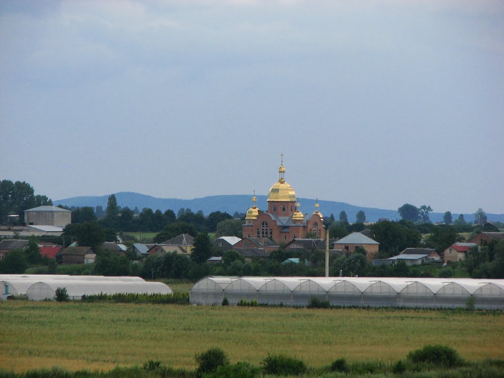 Храм Успіння Пресвятої Богородиці УАПЦ.
