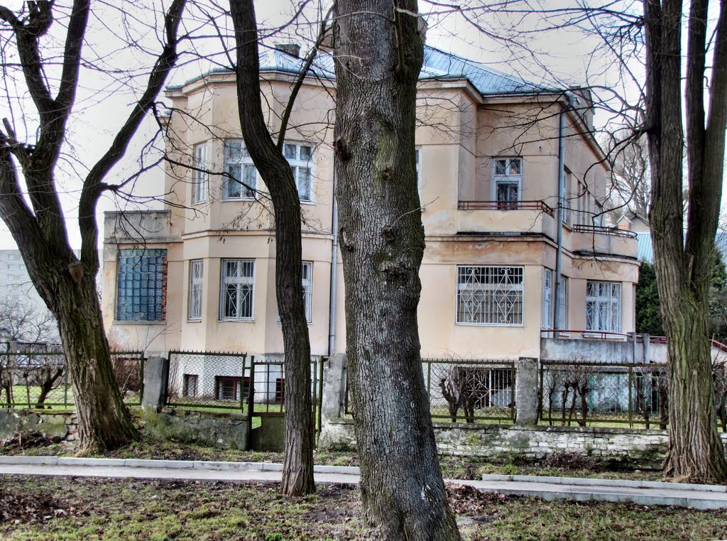 Школа "Берегиня" в Винниках