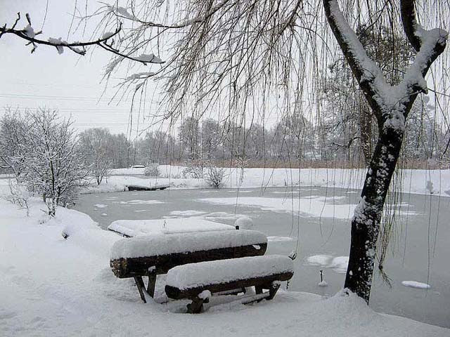 Ставок2008