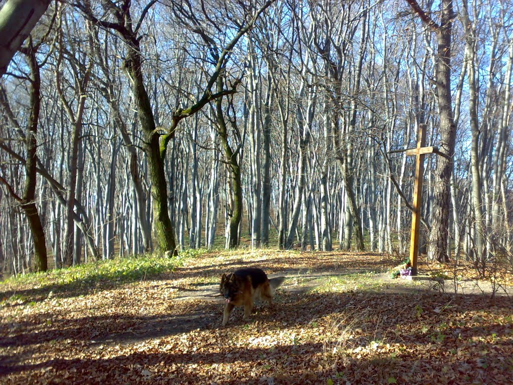 на Жупані