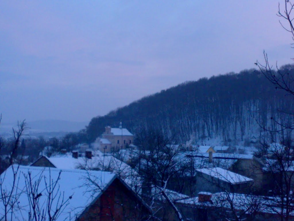 Зима у Винниках
