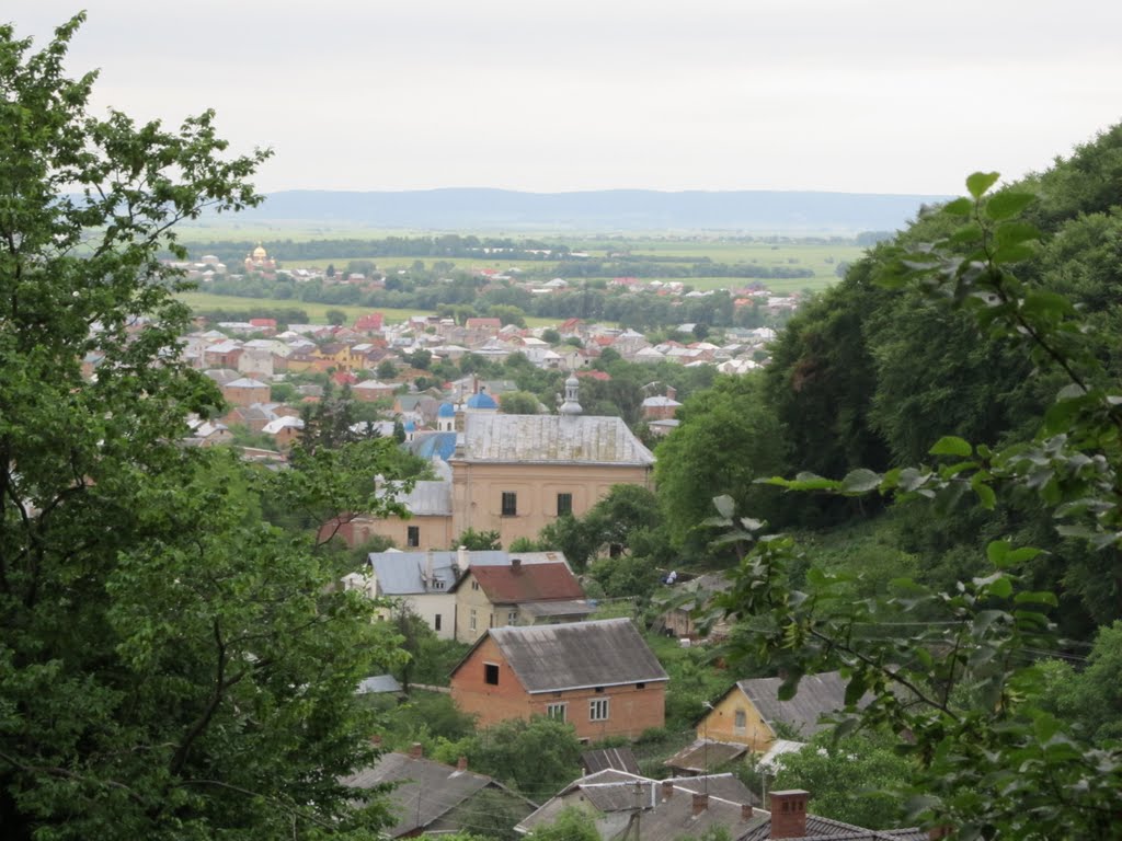 винники 2011