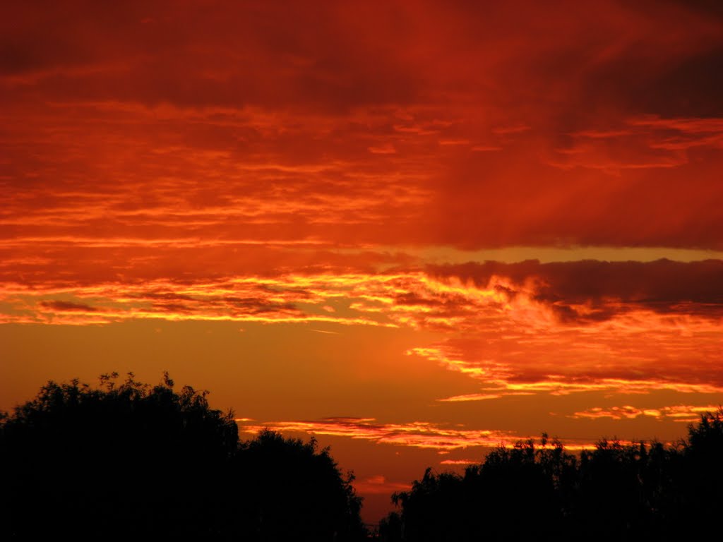 Світанок (sunrise)